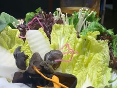 -快乐小羊(富强中路店)