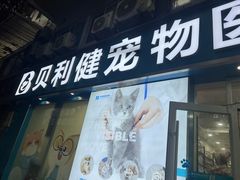 -贝利宠物医院·骨科·眼科·肿瘤转诊中心(南坪诊疗中心)
