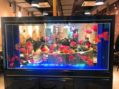 -釜山火炉韩式炭火烤肉(欧洲城店)