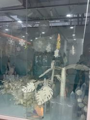 -可优蜜儿童摄影