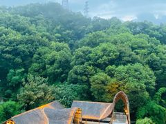 -巴倒烫陆派火锅山庄(南山总店)