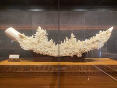 -北京贵宾楼饭店 红墙咖啡厅