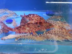 -台州湾小海鲜·范家厨房(人民路店)
