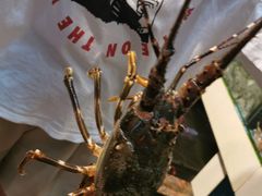 -原龙海鲜大排档(美食地标店)