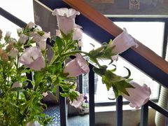 -新沙洞咖啡(泉乐坊店)