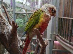 -正佳雨林生态植物园