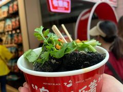 -黑色经典臭豆腐·湖南特产(坡子街店)