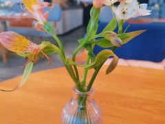-荷恬·精致蔬食料理(富国街店)