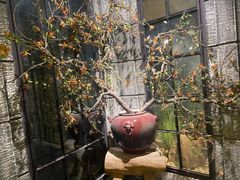 -范设计花园餐酒咖·中西餐·咖啡厅·酒馆