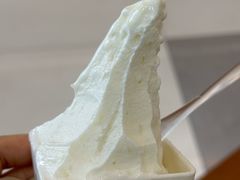 -野人先生Gelato(上海长宁龙之梦店)