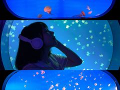 -合肥海洋世界