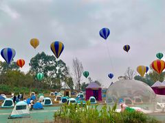-黄龙溪欢乐田园