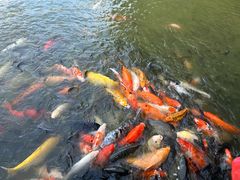 -珠海圆明新园