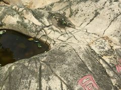 -四会奇石河风景区