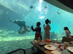 -海棠湾洲际-涛·海底餐厅·美人鱼·自助餐·海底隧道