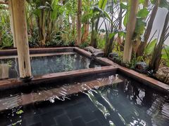 -腾冲洞山温泉村