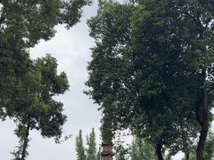 -成都市文殊院
