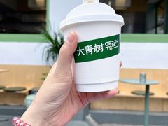 -大青树咖啡(大理古城店)