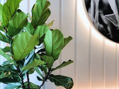 -gaga(深圳福田星河COCO Park店)