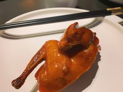 -鸽子侯·家宴·平价海鲜(市图书馆店)