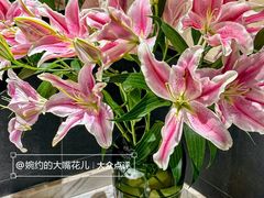 -悦融·京鲁菜·露台花园(安定门店)