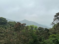 -梧桐山风景名胜区