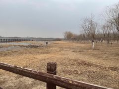 -西青郊野公园