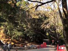-广州市石门国家森林公园