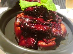 红烧肉+红烧排骨-豪人峰汇·餐厅(世水花园店)