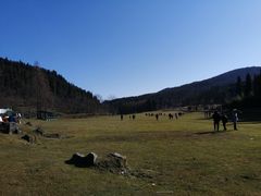 -武陵山森林公园