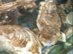 -晓伟海鲜家常菜