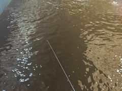 -粮心小农·大头虾亲子生态园(长发店)