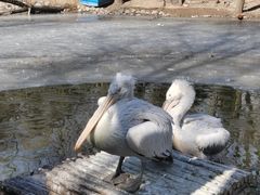 -济南野生动物世界