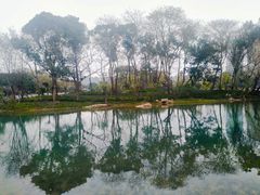-北湖公园