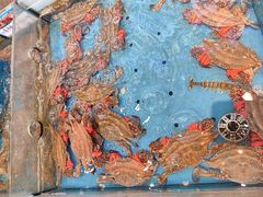 -海边人家(浪潮路店)