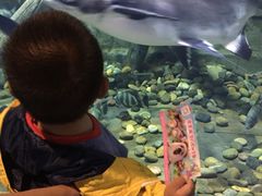 -梦幻海洋王国(吾悦广场张家港店)