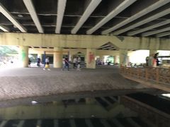 -长白岛森林公园