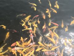 -南戴河国际娱乐中心