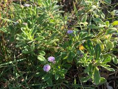 -龙坑生态保护区