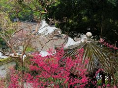 -乌山风景区
