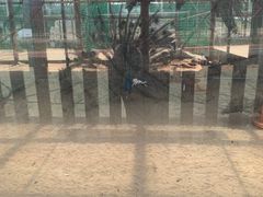 -羊亭河湿地公园