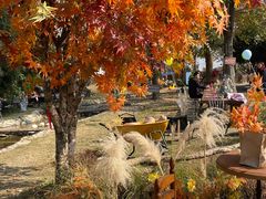 -HERRE·FARM 赫尔露营农场·团建聚会包场