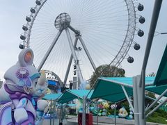 -海合安武汉极地海洋公园