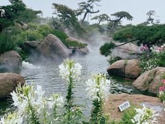 -罗红摄影艺术馆