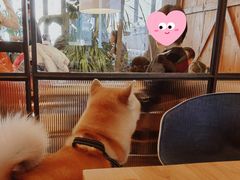 -the rug 飞毯 (朝阳公园店)