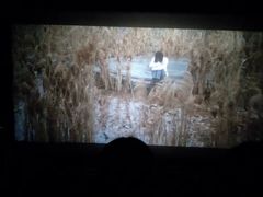 -AMG海上明珠影城(上海环球港RealDCinema店)