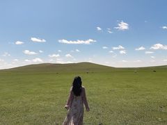 -贡格尔草原