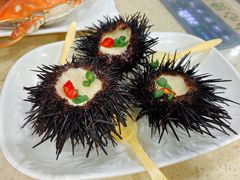 海胆-原味蒸汽海鲜(嵊泗店)
