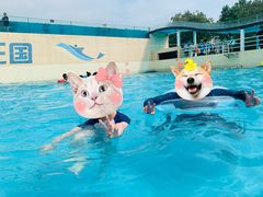 -秦皇岛乐岛海洋王国