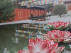 -西安市广仁寺